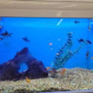 Meet your Posher, Vilma